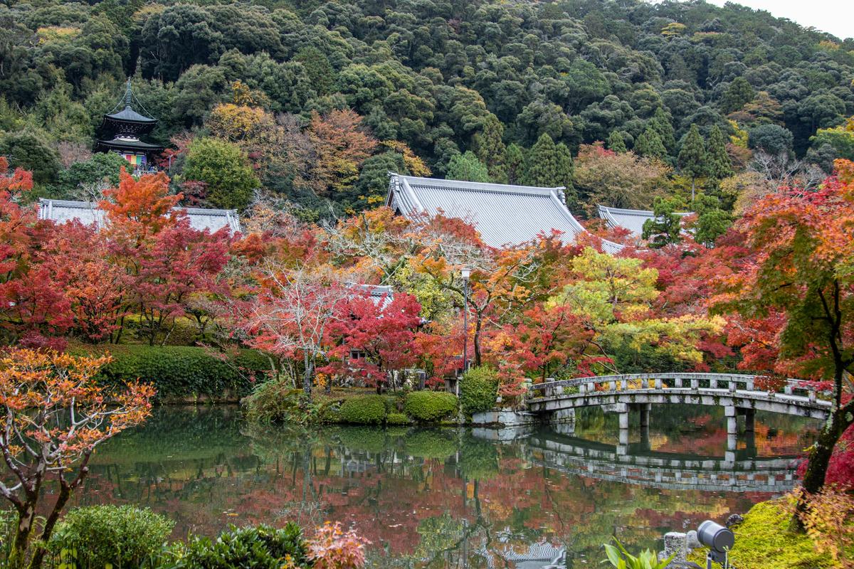 Ein Tempelgarten im Herbst