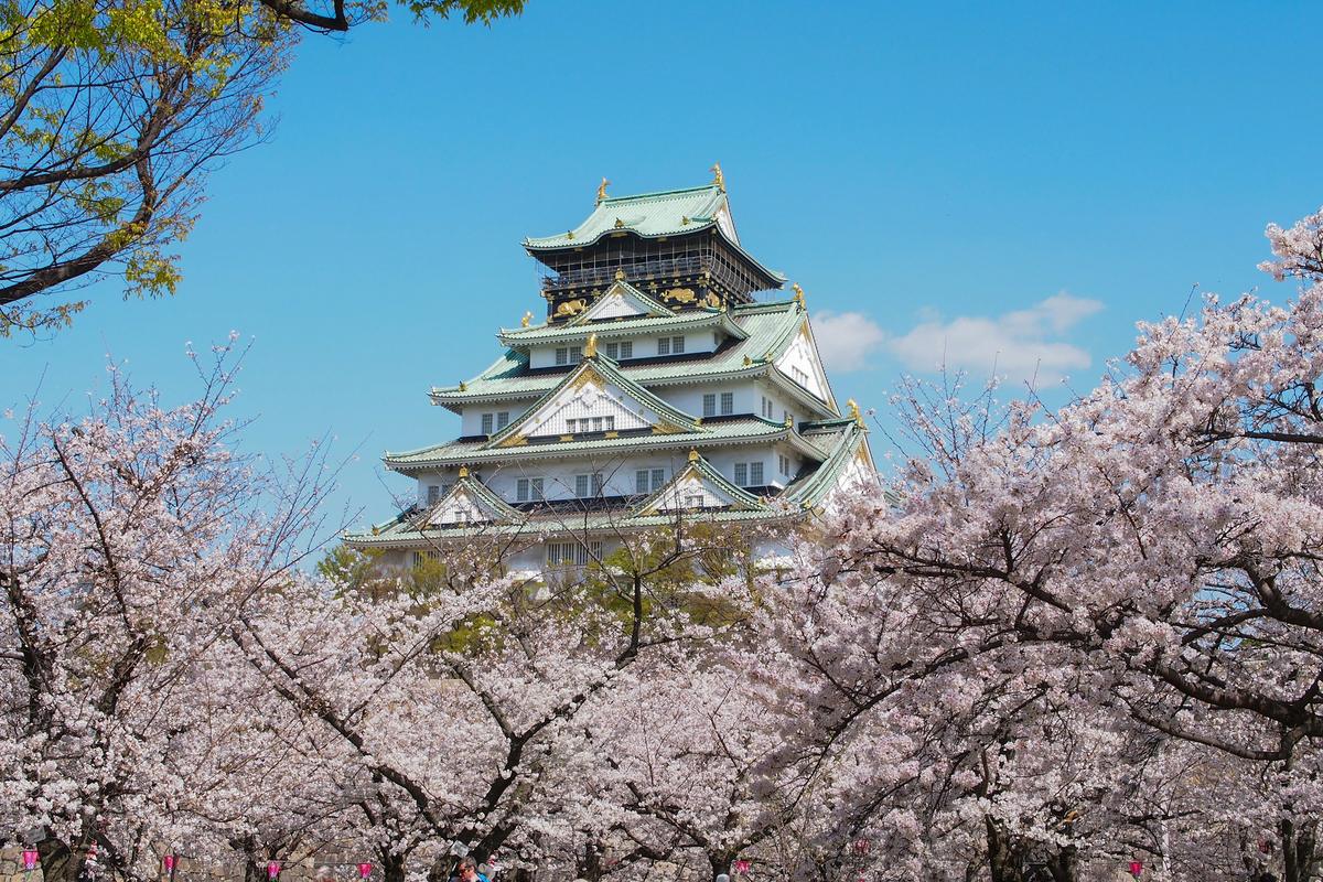 Die Burg von Osaka im Frühling