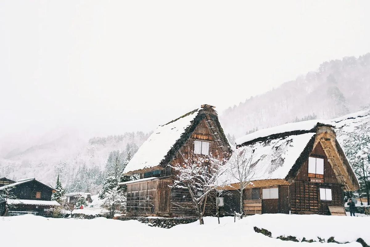 Die strohgedeckten Bauernhäuser von Shirakawa-go im Schnee